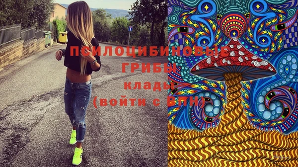 spice Тихвин