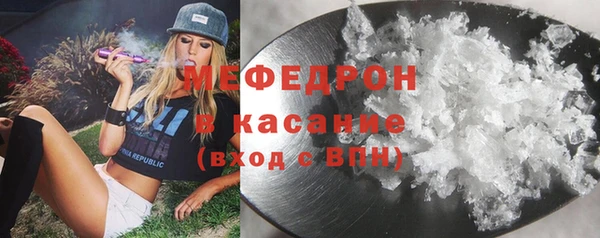хмурый Пересвет