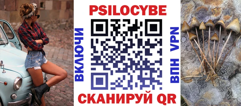 магазин    сайты даркнета телеграм  MEGA   Галлюциногенные грибы мухоморы  Терек 